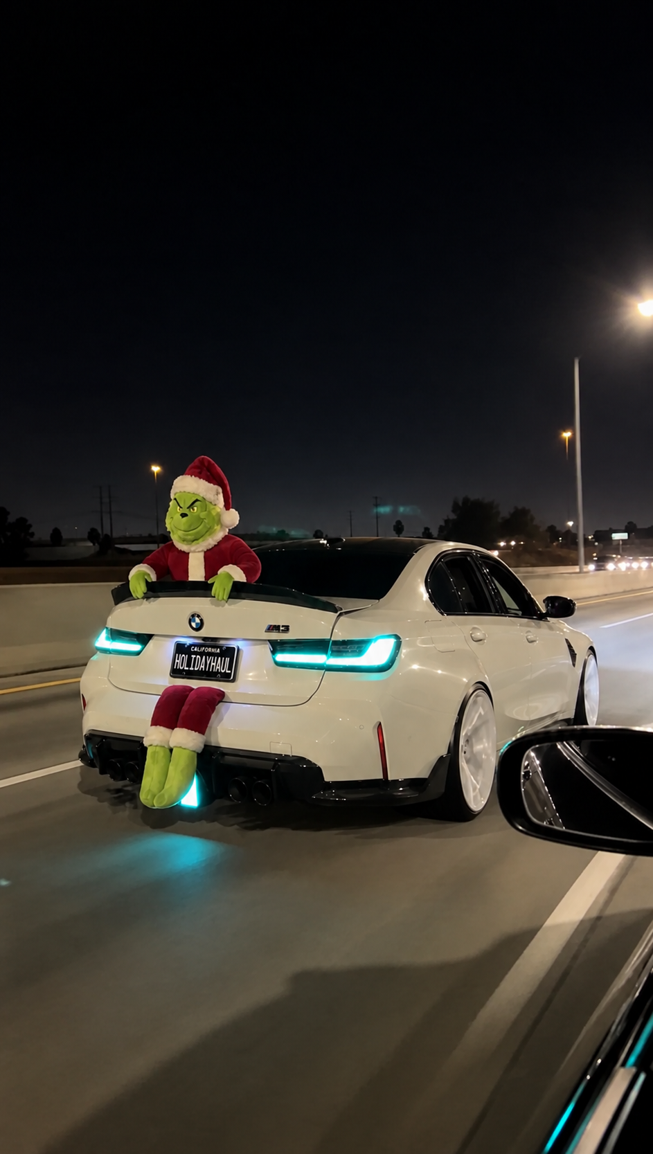 Christmas Grinch - Trunk Decoration